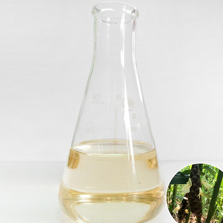 ¿Qué es Zingiber Corallinum Hance Oil?