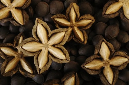 ¿Qué son los beneficios del aceite de Sacha Inchi?