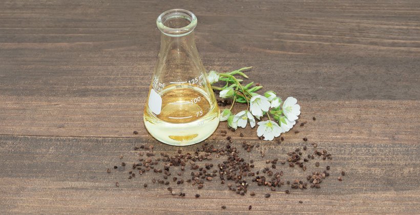 ¿Puede el aceite de semilla de Meadowfoam mejorar la salud de su cabello y piel?